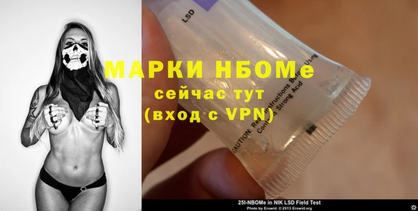 хмурый Абаза