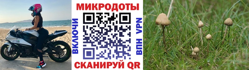 Галлюциногенные грибы GOLDEN TEACHER  Княгинино 
